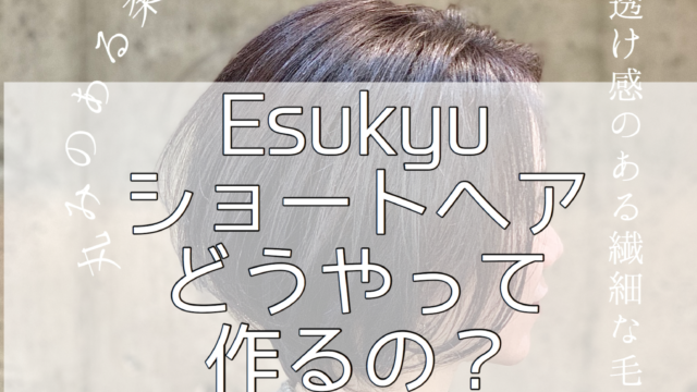 色気あるesukyuショートの作り方 Esukyu 恵比寿パーソナル美容師ブランド
